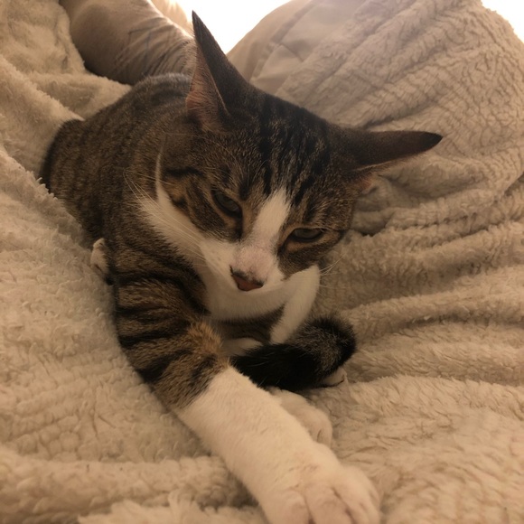 Meet your Posher, Zhiyu - Picture 1 of 1